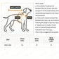 Salopette Cartoon Ourson pour Petits Chiens