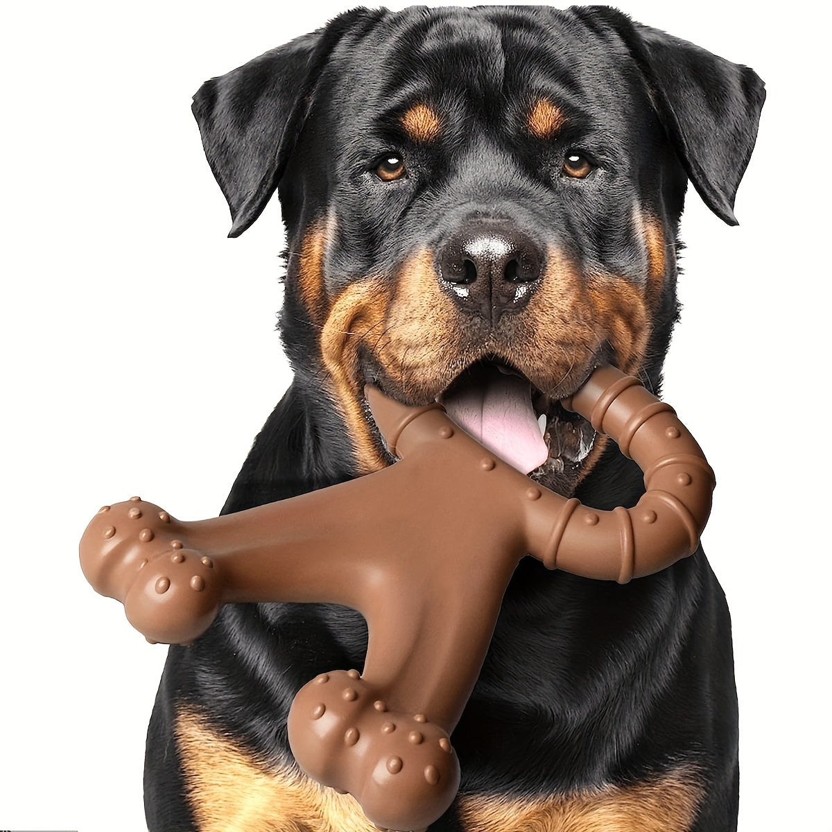Jouet à Mâcher Résistant en Nylon pour Chiens