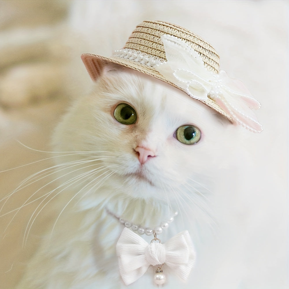 Set Collier et Chapeau Élégance Perle pour Chiens et Chats