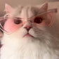 Lunettes Triangle Stylées pour Chats et Petits Chiens