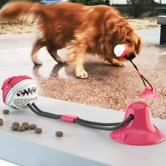 Jouet à tirer PowerPaw pour chien – Résistant & interactif