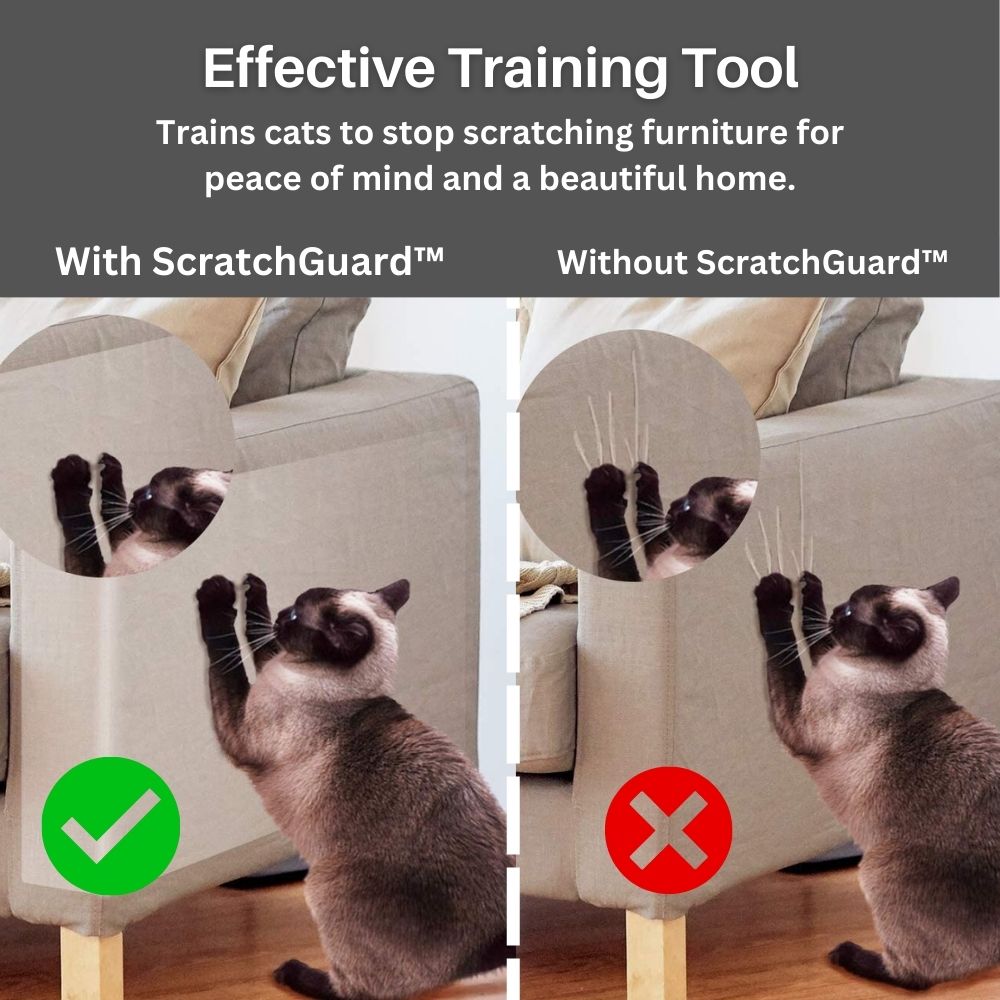 Protège-meubles transparent anti-griffes pour chats