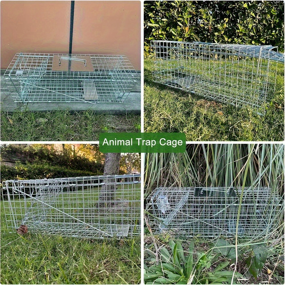 Cage de Capture Pliable en Acier Inoxydable – Grand Modèle