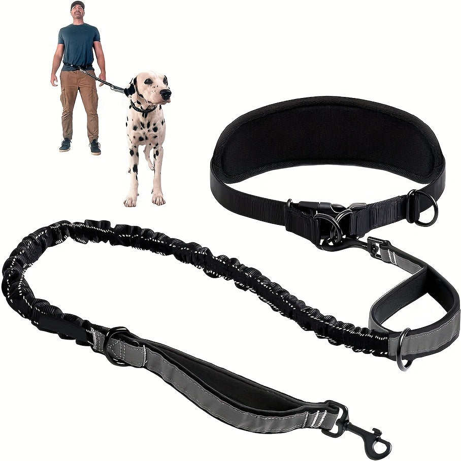 Laisse Ceinture Mains Libres pour Chien