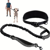 Laisse Ceinture Mains Libres pour Chien