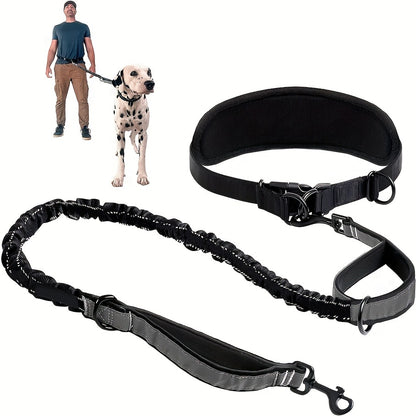 Laisse Ceinture Mains Libres pour Chien
