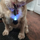Médaillon Répulsif Ultrason Rechargeable pour Collier Chien