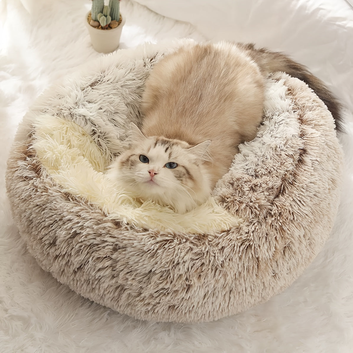 Lit pour chat Polaire Douillet