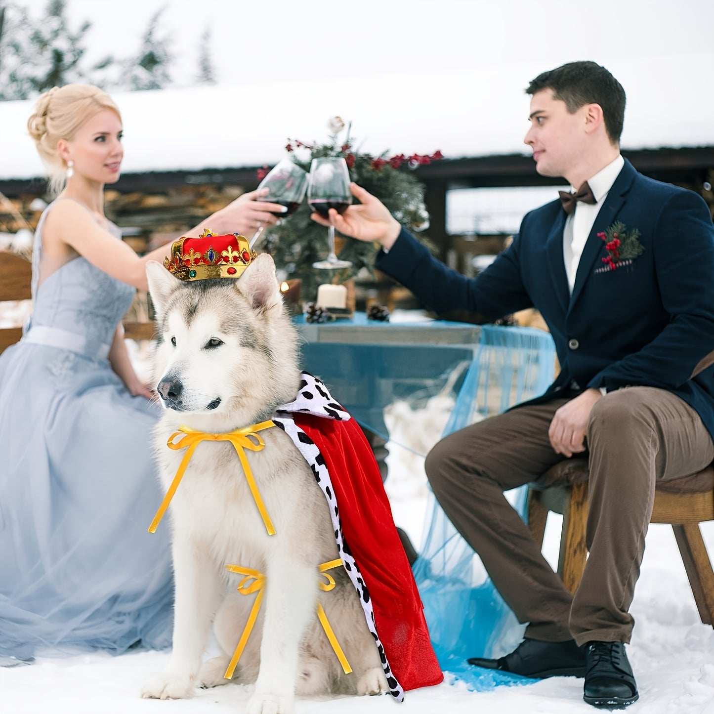 Costume Royal avec Cape et Couronne pour Chiens Moyens