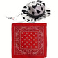 Chapeau et Bandana Western pour Chiens et Chats – Set 2 Pièces