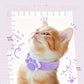 Collier Anti-Puces et Anti-Poux Réglable pour Chats et Chiens
