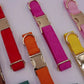 Collier en Velours Côtelé Pastel Chic pour Chien