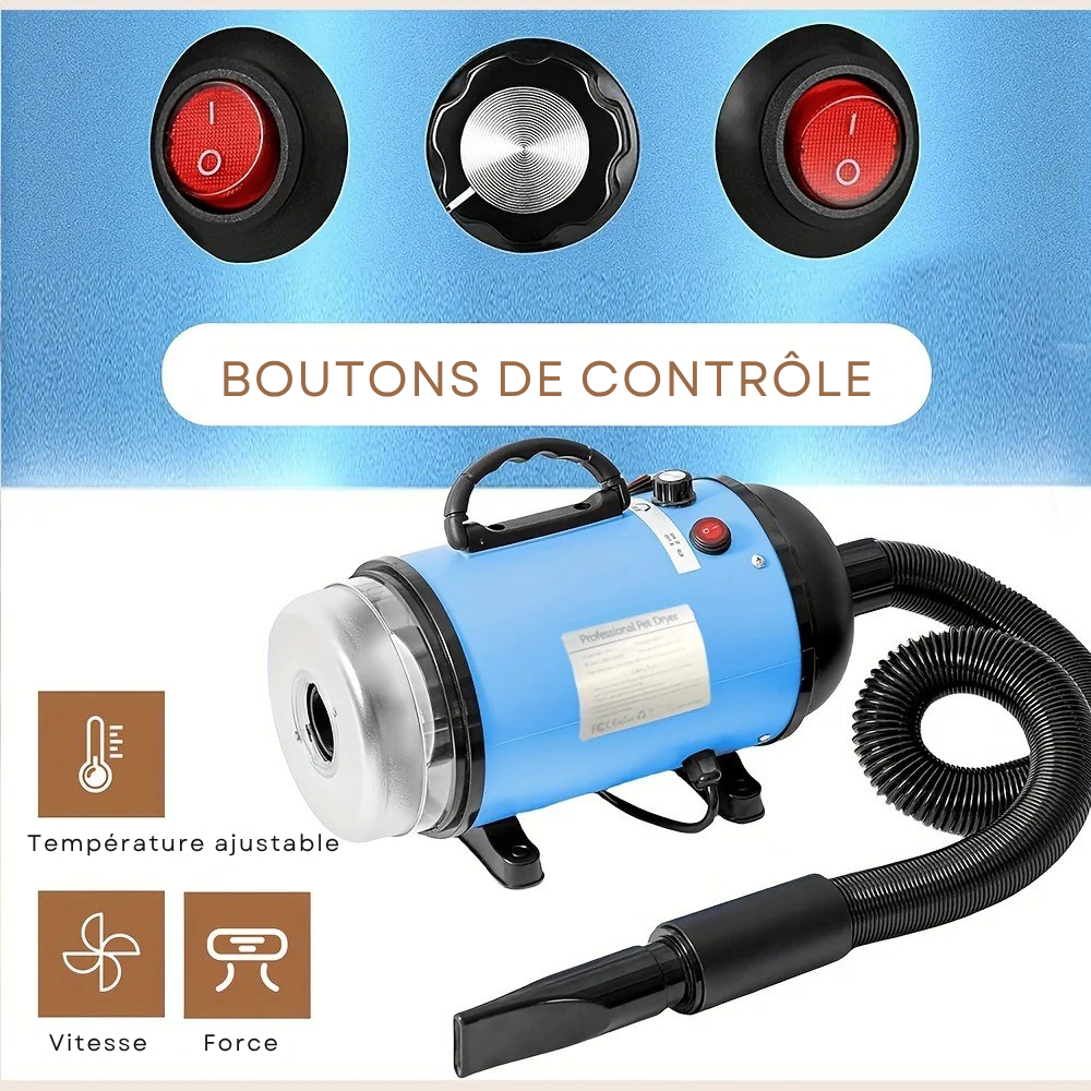 Pulseur Professionnel Silencieux – 4 Embouts & Tuyau 2,5 m