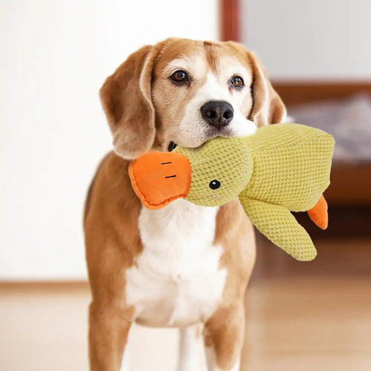 Jouet en peluche canard pour chien – Doux & ludique