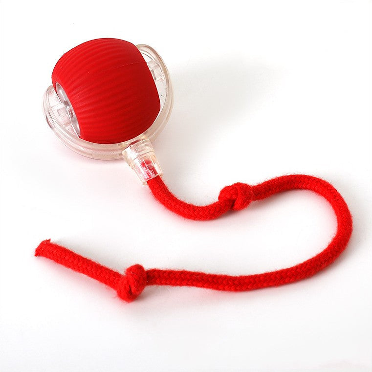 Balle interactive avec queue pour chat – Jeu stimulant et instinctif