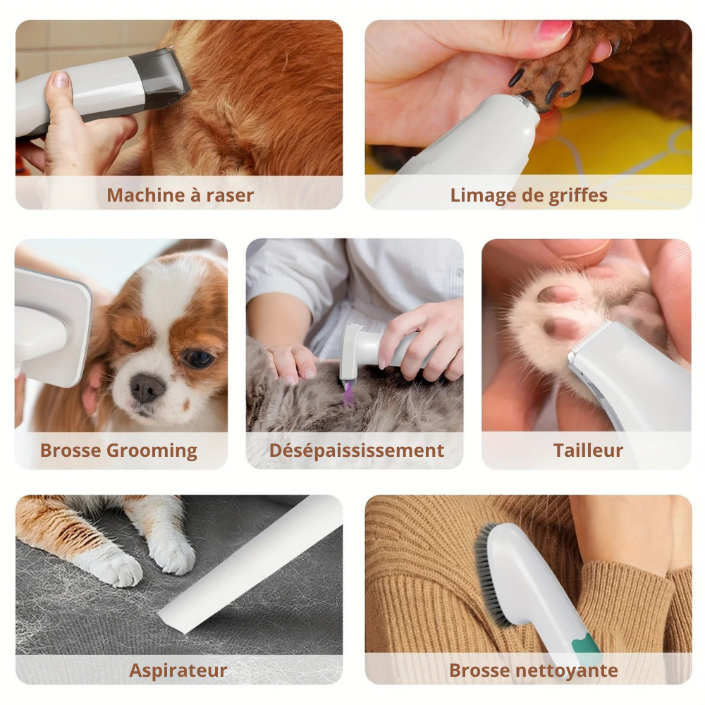 Aspirateur de Toilettage pour Animaux – Kit Complet Multifonction