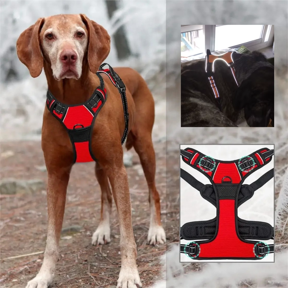 Harnais Renforcé Anti-Traction pour Chien