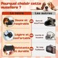 Muselière Souple Anti-Morsure pour Chiens