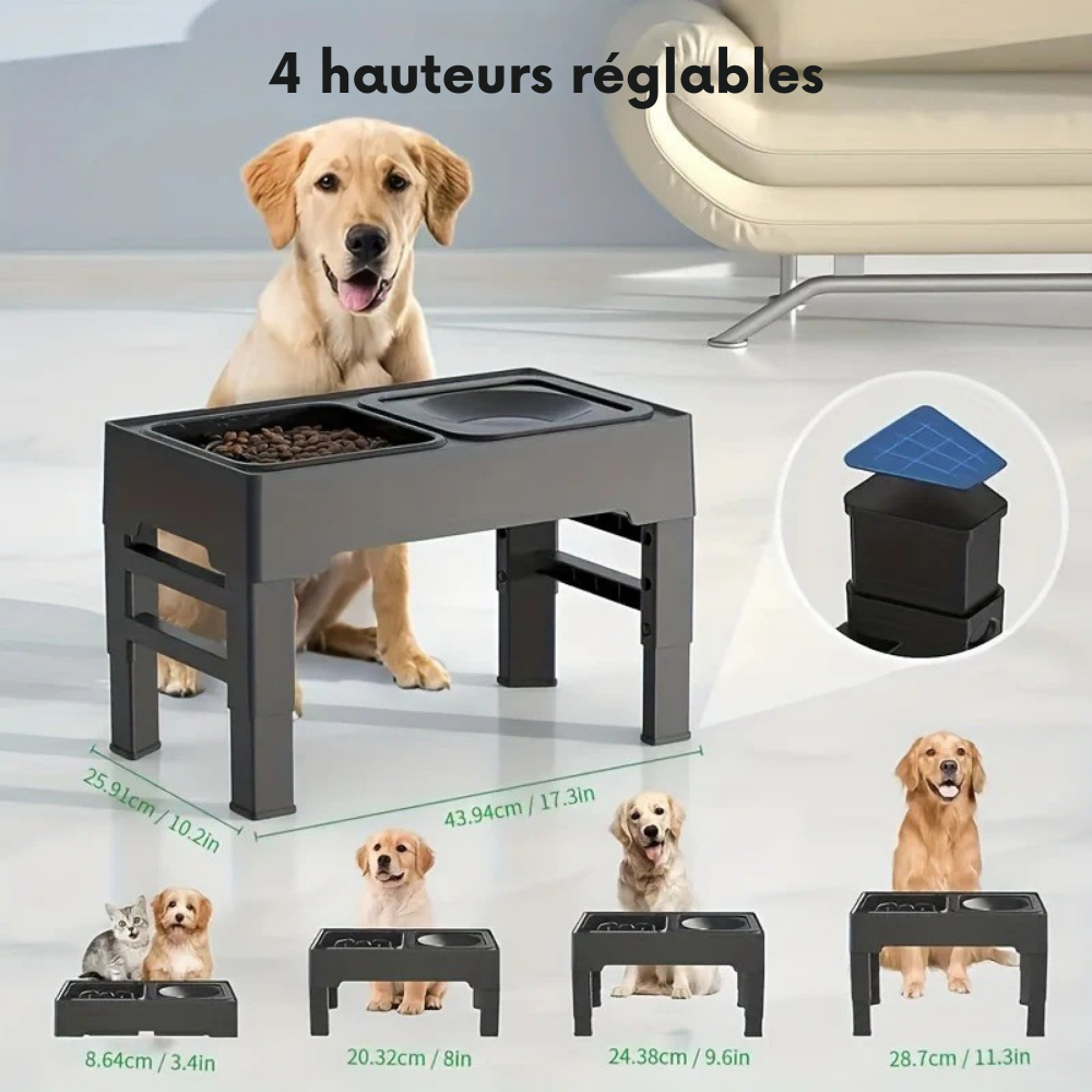 Double gamelle surélevée réglable avec bol anti-glouton