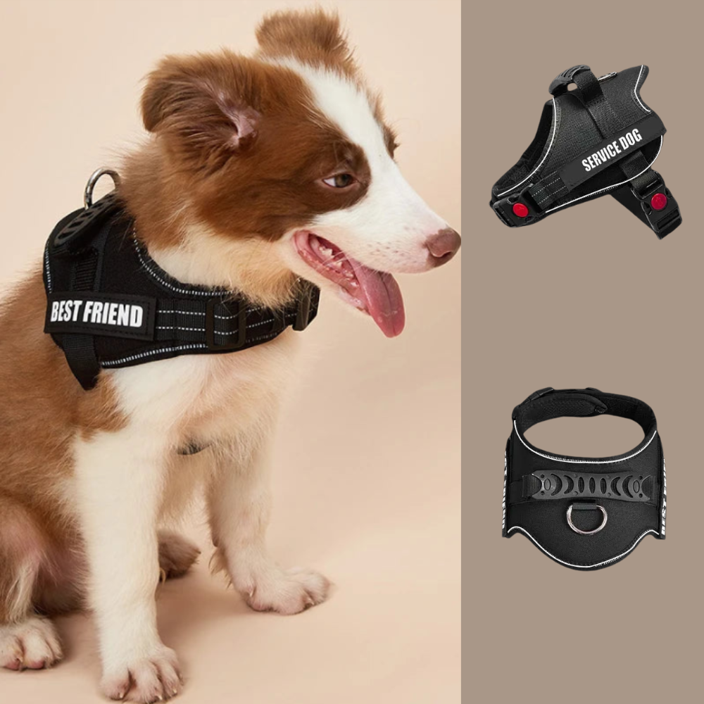 Harnais réfléchissant pour petit chien