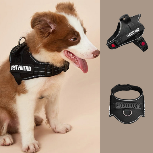 Harnais réfléchissant pour petit chien