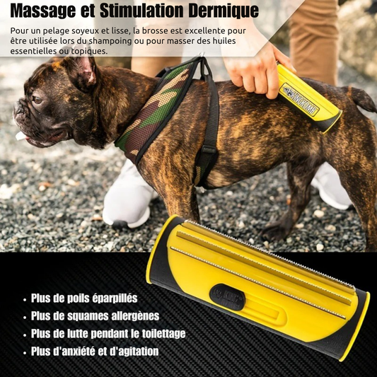 Brosse Double-Face Ergonomique KingKomb pour Animaux
