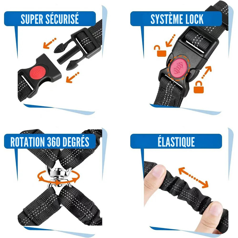 Double Ceinture de Sécurité Appui-Tête pour Chien