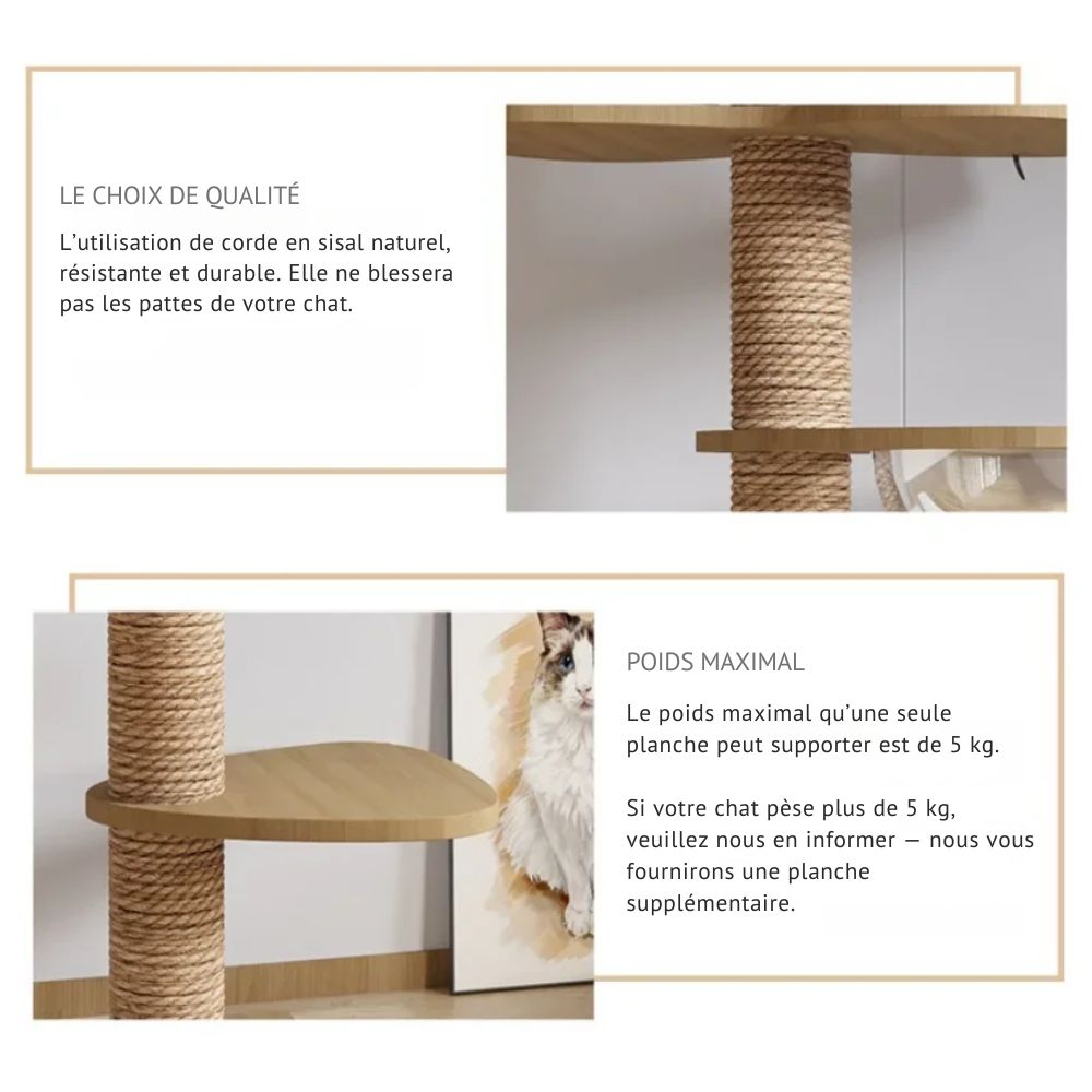 Arbres à Chat Ajustable du Sol au Plafond - Plusieurs modèles