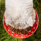 Gamelle Champignon Surélevée en Céramique pour Chats – 300ml