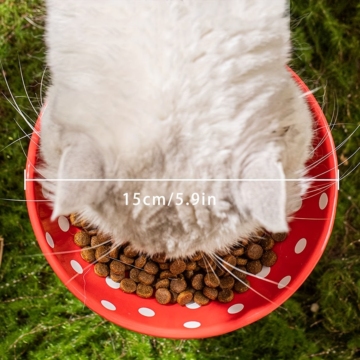 Gamelle Champignon Surélevée en Céramique pour Chats – 300ml