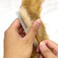 Peigne de Toilettage en Bois pour Chats et Chiens