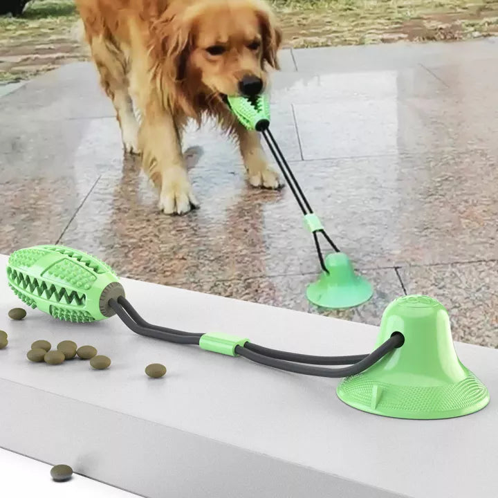 Jouet à tirer PowerPaw pour chien – Résistant & interactif