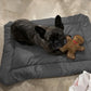 Tapis de Voyage Pliable pour Chien – Résistant et Confortable