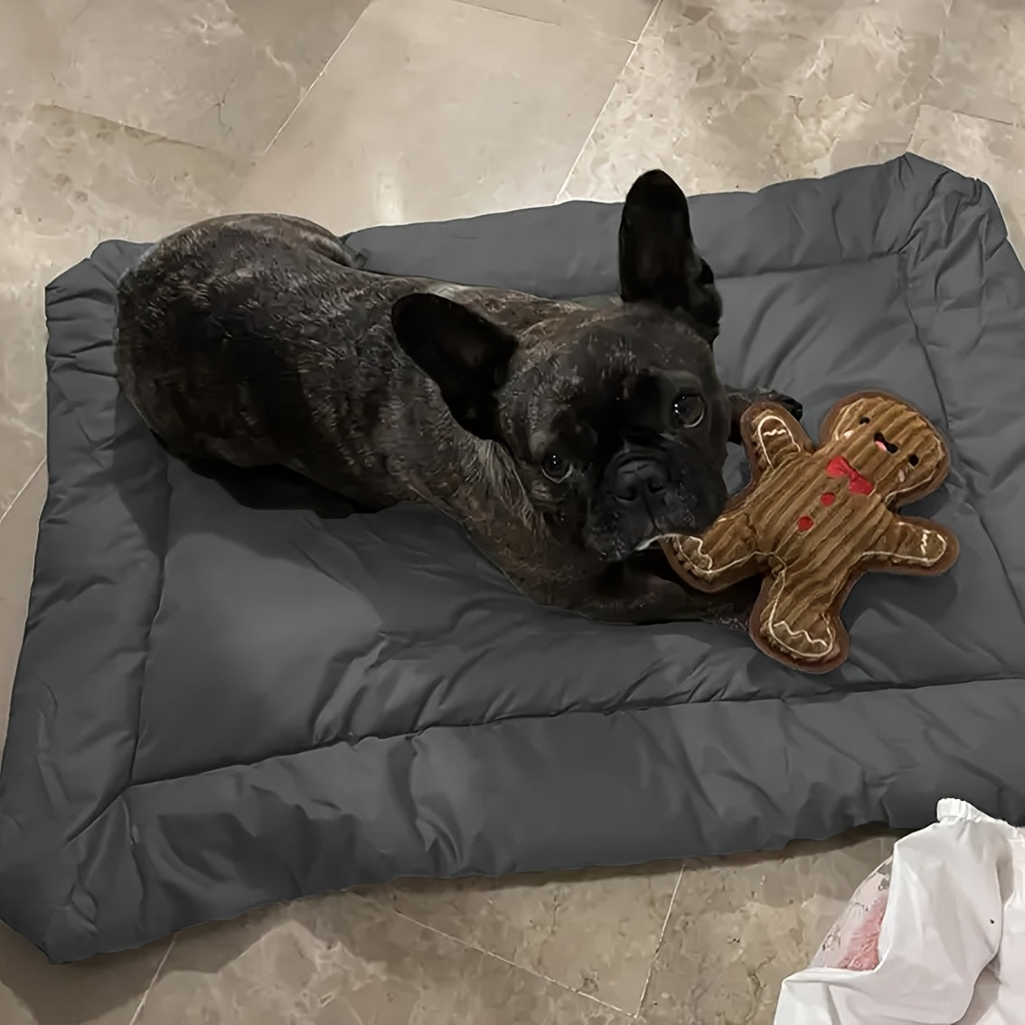 Tapis de Voyage Pliable pour Chien – Résistant et Confortable