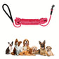 Longe d'Entraînement en Nylon pour Chien - 5M / 10M / 15M