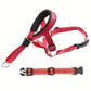 Muselière & Collier Réglable Confort pour Chien