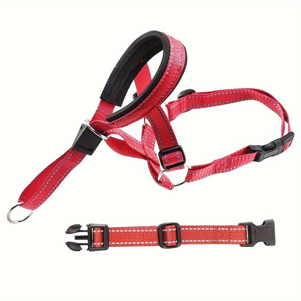 Muselière & Collier Réglable Confort pour Chien