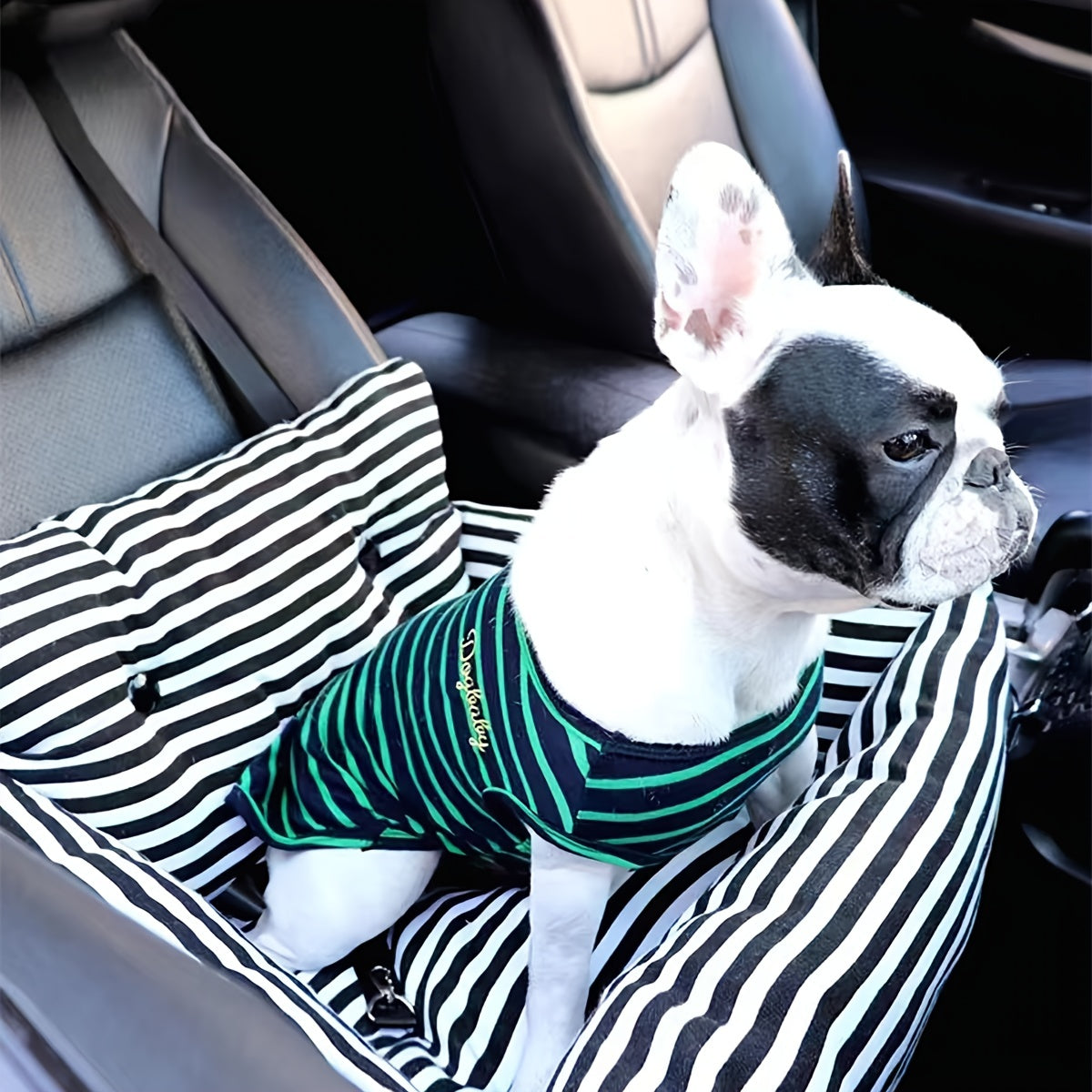 Siège auto lavable en toile rayée pour chien ou chat