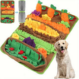 Grand Tapis de Fouille avec Carottes et Jouets Sonores