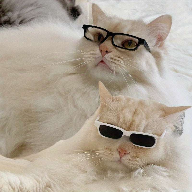 Lunettes Rectangulaires Noires ou Blanches pour Chats