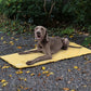 Couverture Pliable Rétro pour Chien – Matelassée, Portable et Élégante