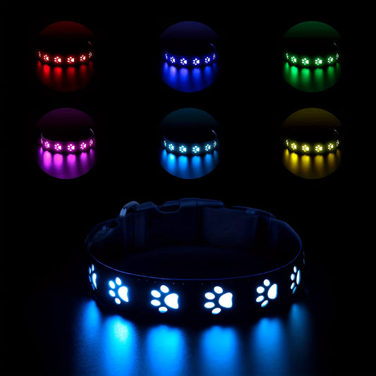 Collier lumineux à motif patte pour Chien - rechargeable par USB