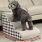 Rampe en mousse pour Animaux