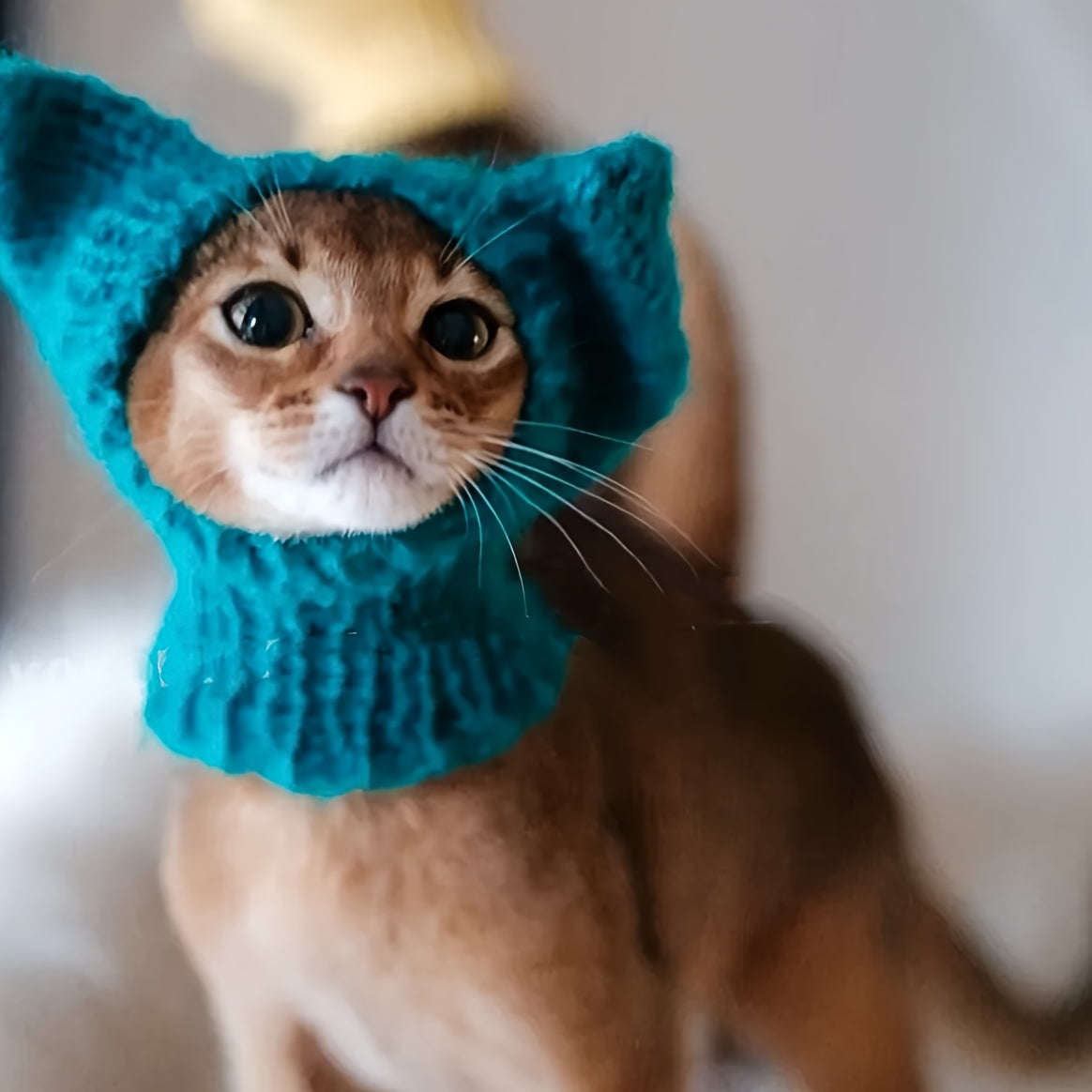 Bonnet Tricoté Elfique pour Chats – Chapeau Fantaisie en Maille Acrylique