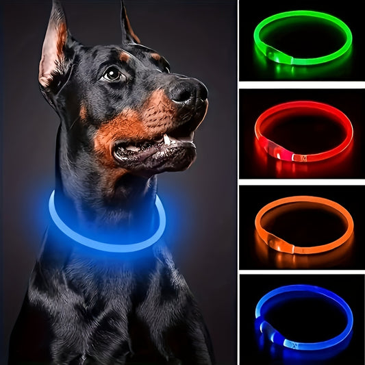 Collier lumineux Neon USB multicolore pour Chien