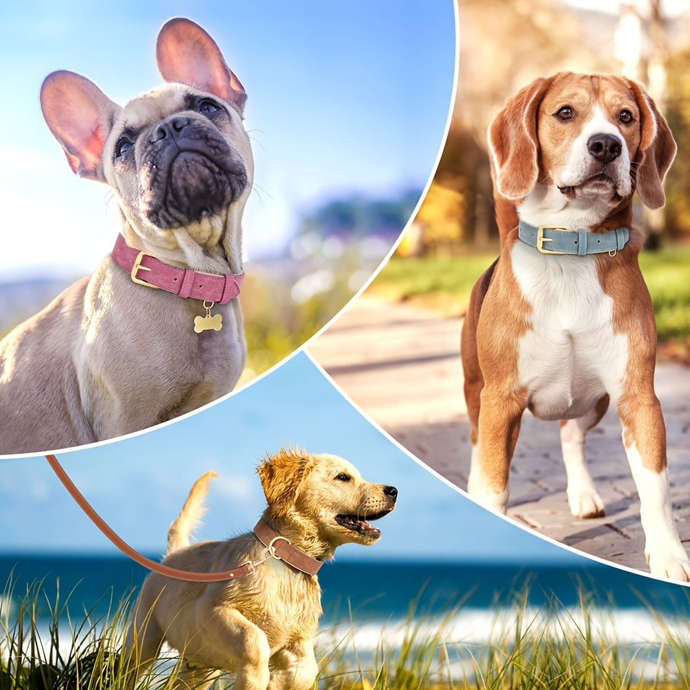 Collier en Simili Cuir Rembourré pour Chien