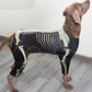 Costume Squelette Halloween pour Chiens