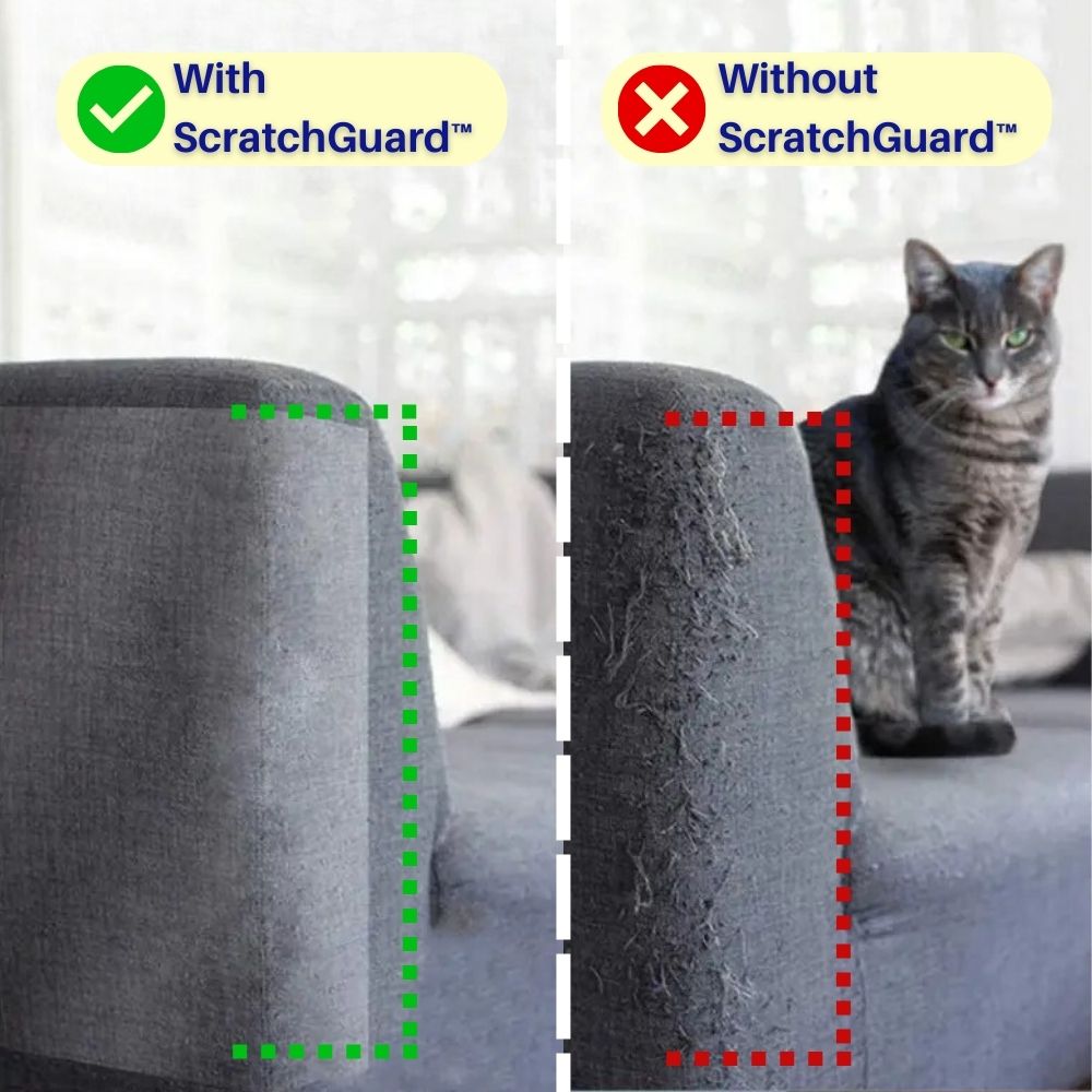 Protège-meubles transparent anti-griffes pour chats
