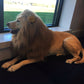 Crinière de Lion Réaliste pour Chiens Moyens et Grands