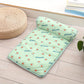 Tapis Rafraîchissant avec Oreiller pour Chien